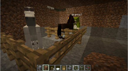 I get a horse, too. :-)