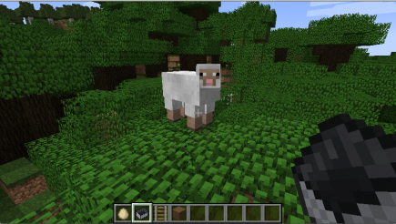 Tree-dwelling sheep